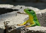 What Is On The Agenda Today